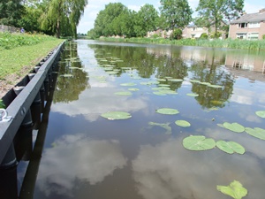 walbeschoeiing