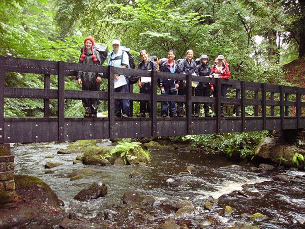 plastic bridges