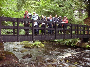 plastic bridges