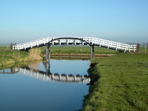 plastic bridges