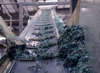 recycled plastic benches