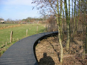 Terrassenbretter aus Kunststoff