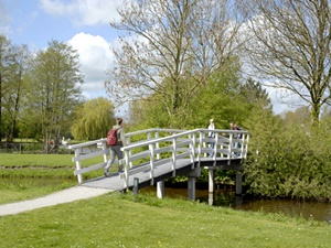 plastic bridge