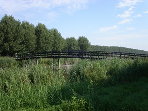plastic bridge
