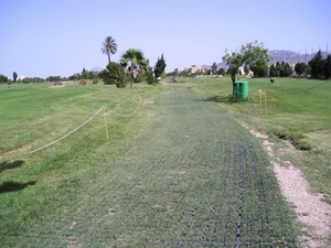 ecogrid