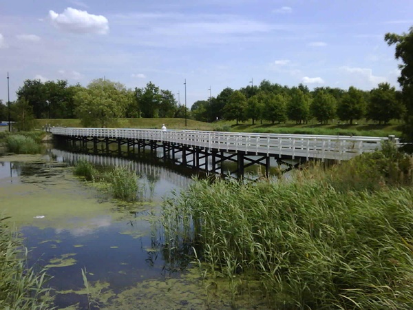 plastic bridges