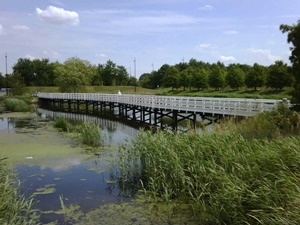 plastic bridges